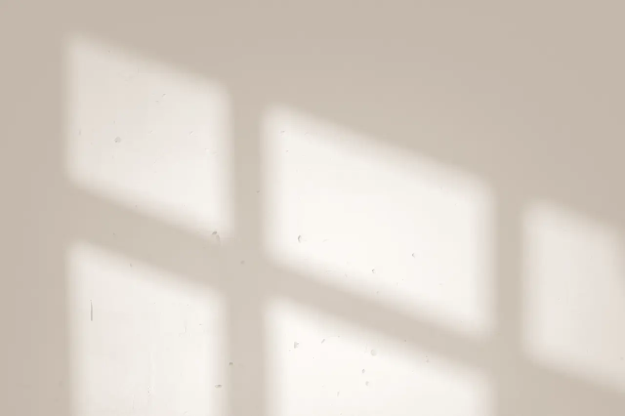 Morning light falling on a plain wall.